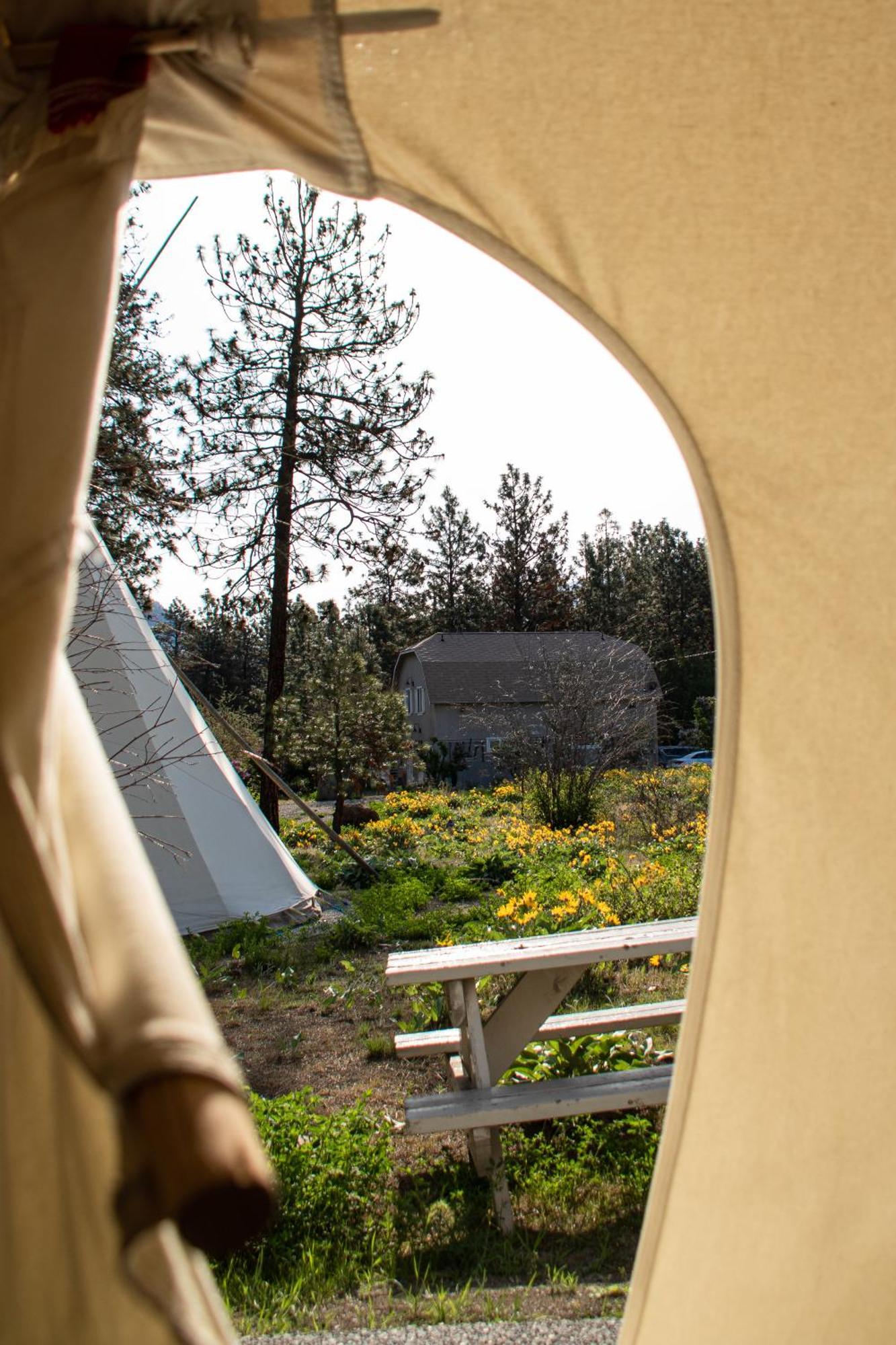 Lytton Kumsheen Rafting Resort מראה חיצוני תמונה